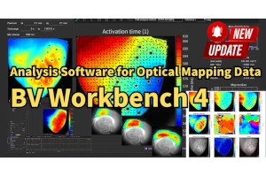 Advanced S/N Ratio Enhancement and Noise Reduction Techniques in BV
                                Workbench