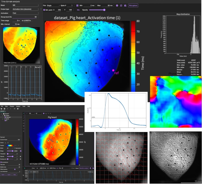 Screen images of BV Workbench