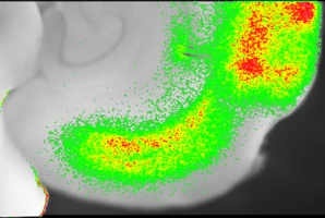 Recording Neuronal Activity with Light