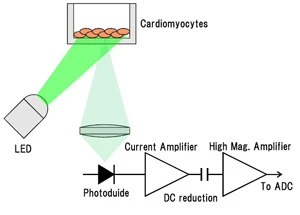 Method and principle of Measurement