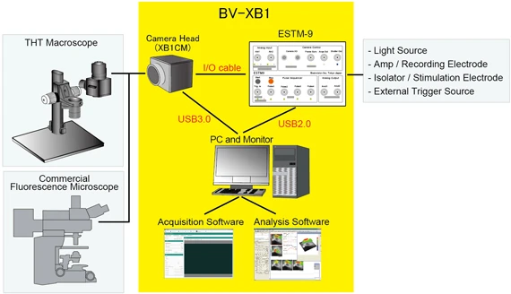 Diagram of BV-XB1 system