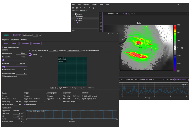 Sceen of BV Workbench