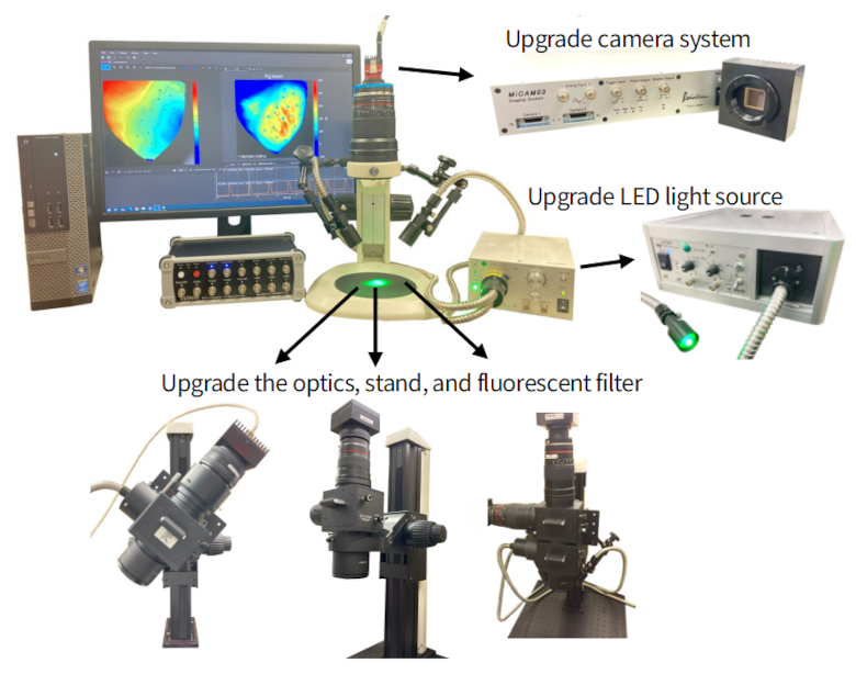 analog signal recording