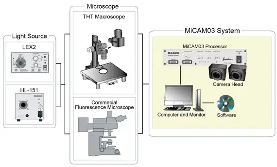 Diagram of MiCAM system