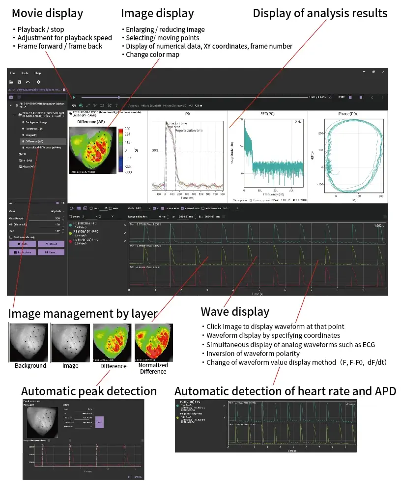 Acquisition/Analysis Software BV Workbench