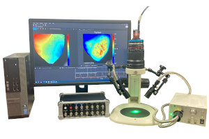 Basic System for Optical Mapping BV-XB2